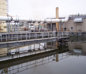 untitled (350 x 300 px) (2)