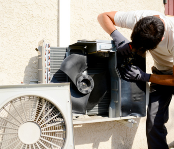 untitled (350 x 300 px) (4)