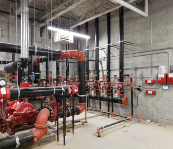 untitled (350 x 300 px) (8)